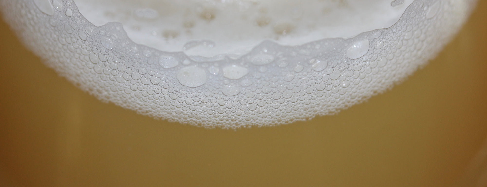 IPA Recipe Kits