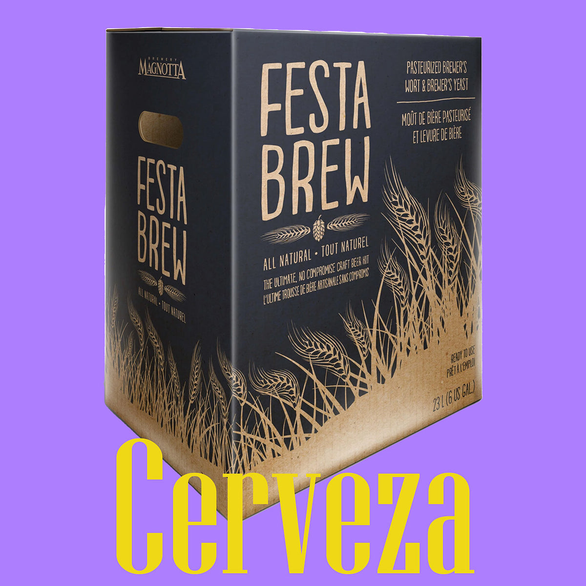 Cerveza - Festa Brew 23L Beer Kit