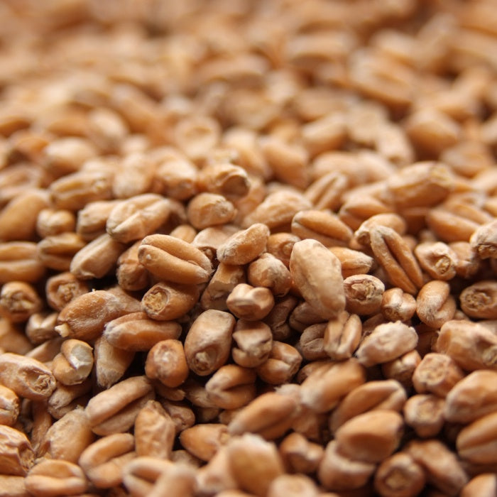 Wheat Malt - Rahr