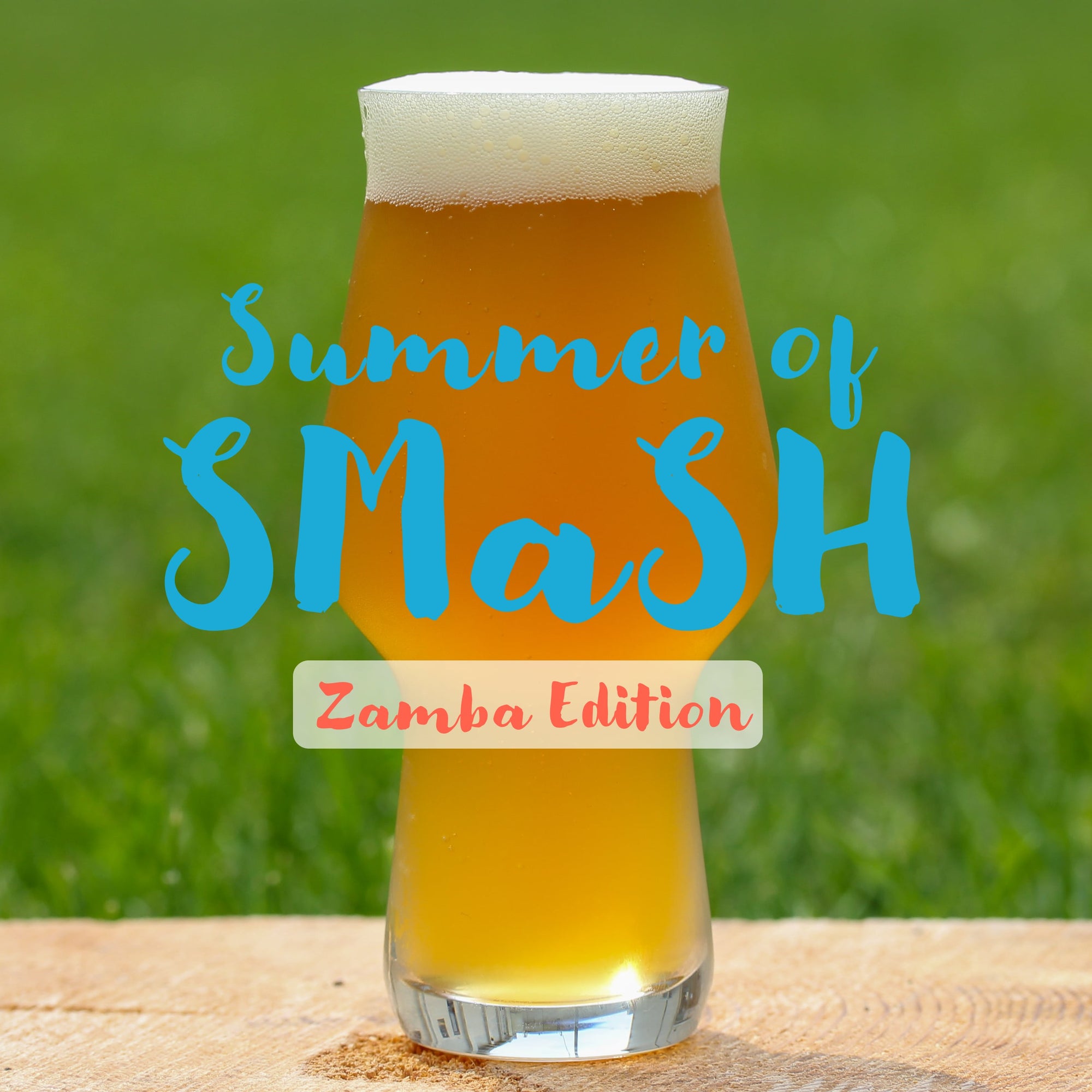 Summer of SMaSH | Zamba Edition